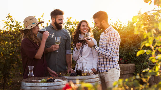 Dégustation au vignoble