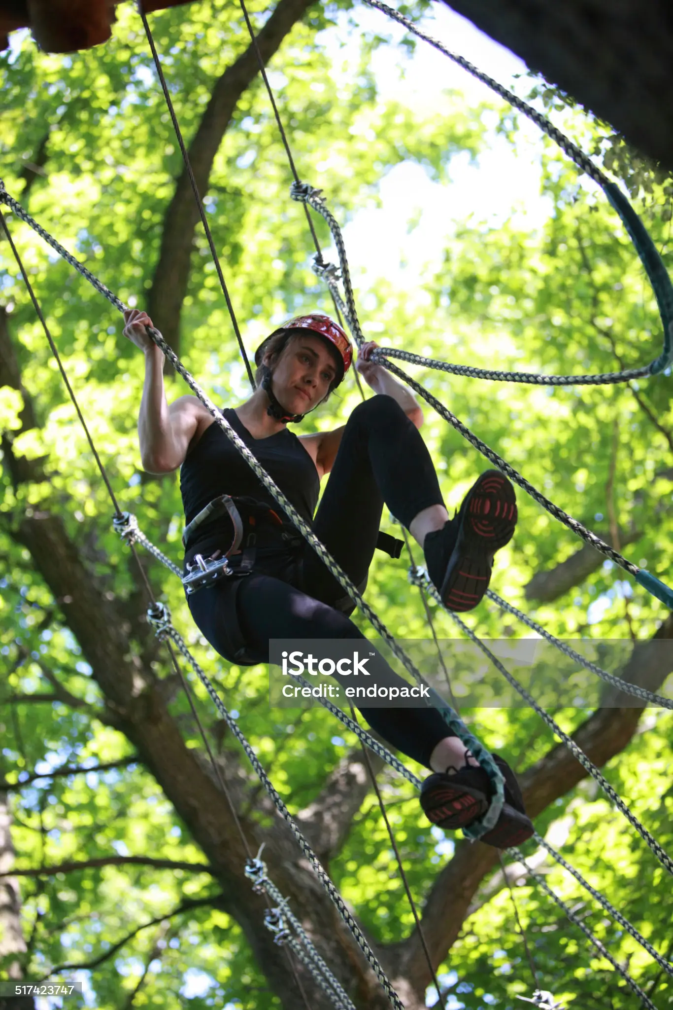 Accrobranche