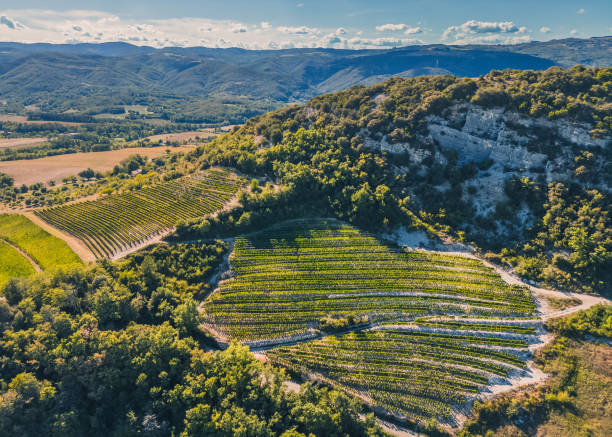 Vignobles en terrasses dans les collines de la Drôme vus du ciel