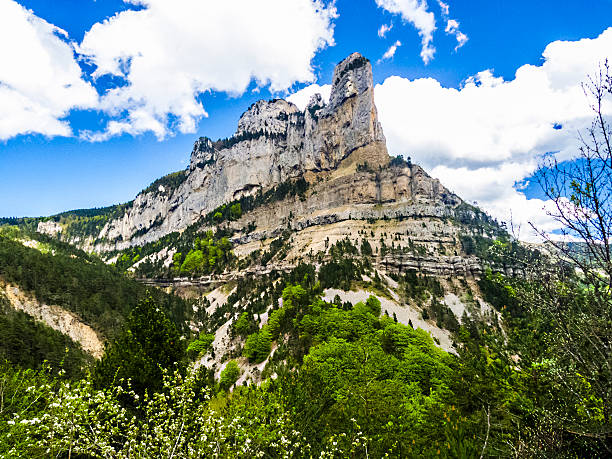 Nature sauvage et verdoyante de la Drôme provençale