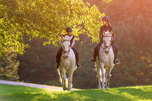 Équitation